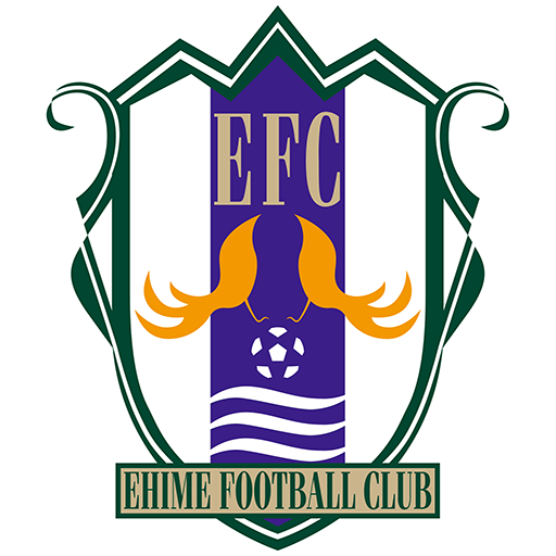 Ehime FC artwork 1