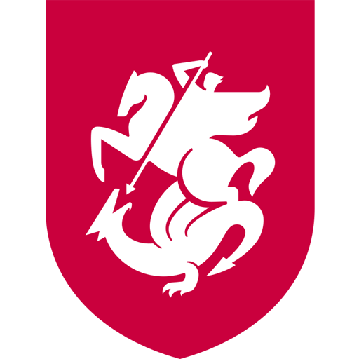 Georgia U21 artwork 1