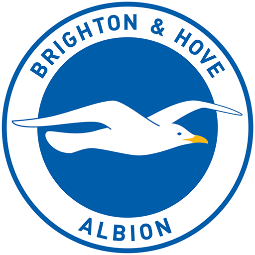 Brighton WFC badge