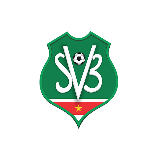 Suriname badge