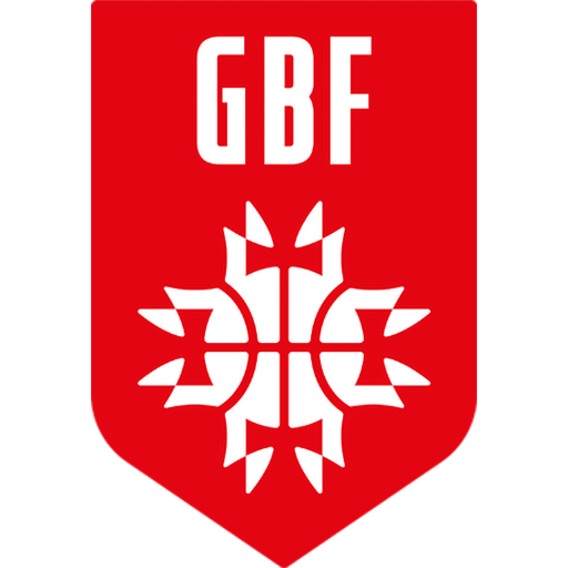 Georgia Basketball badge