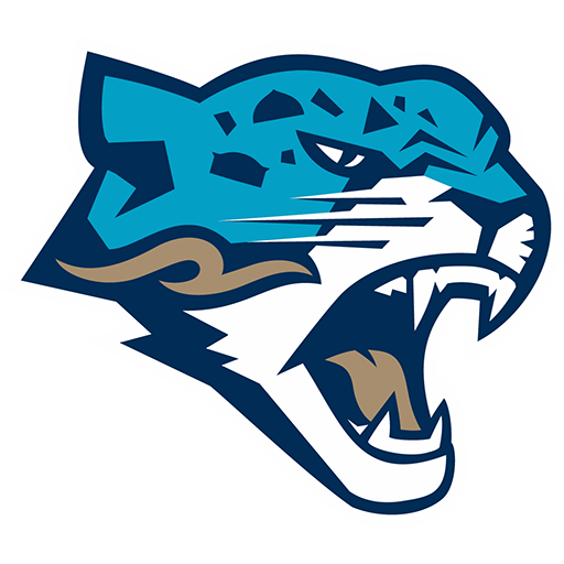 Barys Nur-Sultan badge