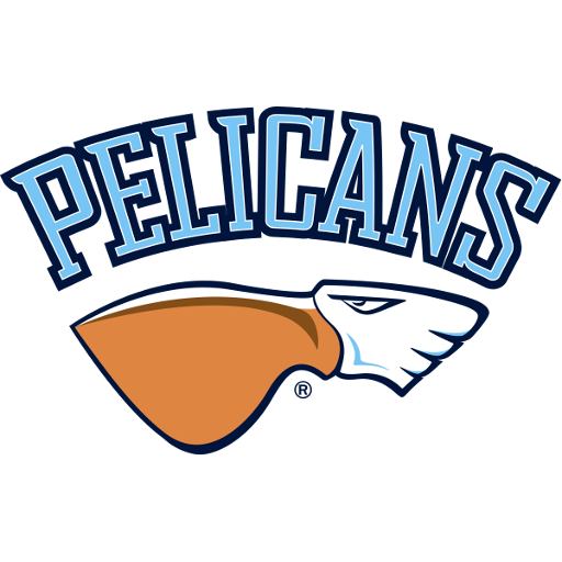 Pelicans artwork 1