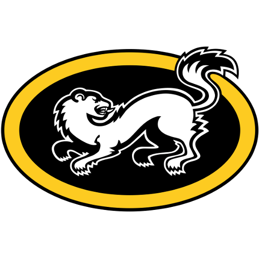 Oulun Kärpät artwork 1