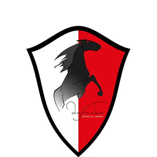 Merani Martvili badge