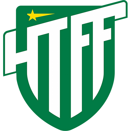Hammarby Talang badge