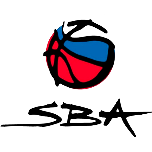 Slovakia Basketball Women artwork 1