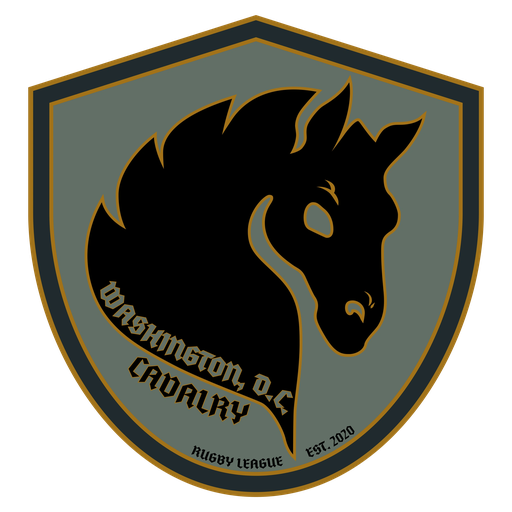 Washington DC Cavalry badge