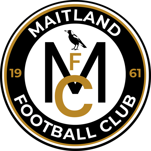 Maitland FC artwork 1