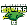 Mt Gravatt Hawks FC
