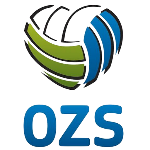 Slovenia Volleyball artwork 1