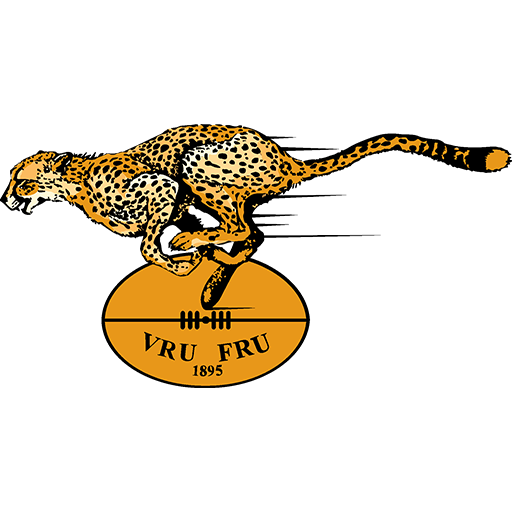 Free State Cheetahs artwork 1