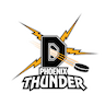 Dunedin Thunder