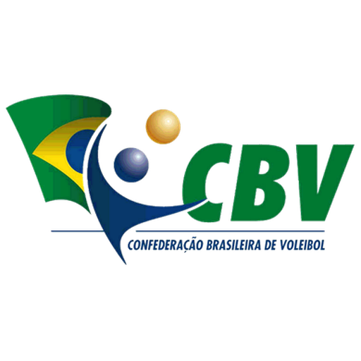 Brazil Volleyball Women artwork 1