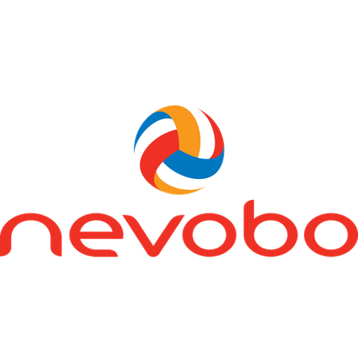 Netherlands Volleyball Women artwork 1