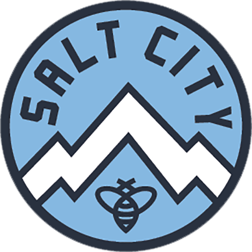 Ogden City SC artwork 1