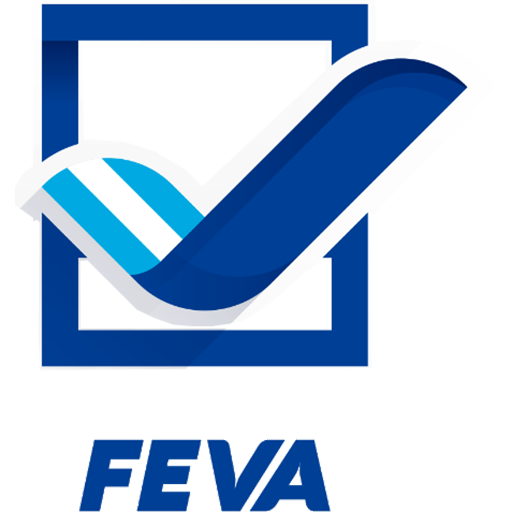 Argentina Volleyball Women artwork 1