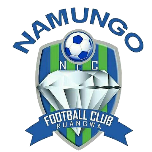Namungo FC badge