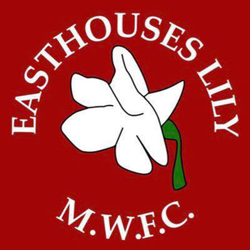 Easthouses Lily Miners Welfare F.C. artwork 1