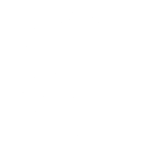 Bjerringbro-Silkeborg Håndbold artwork 1
