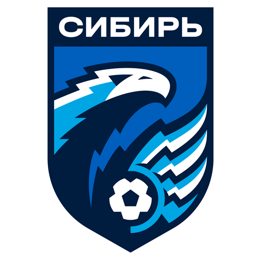 FC Novosibirsk artwork 1