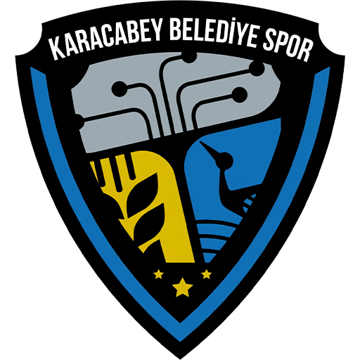 Karacabey Belediyespor artwork 1