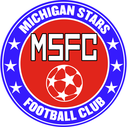 Michigan Stars FC artwork 1