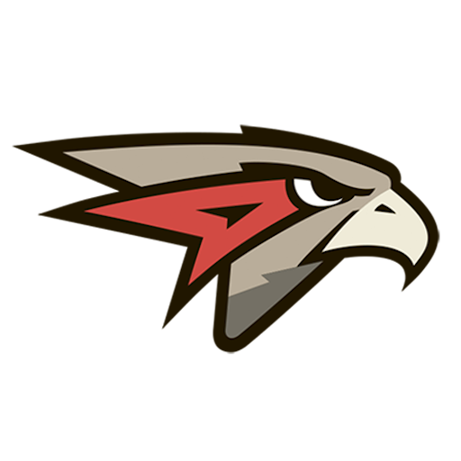 Omskie Krylia artwork 1