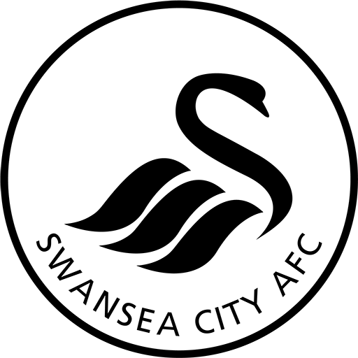 Swansea City Women artwork 1