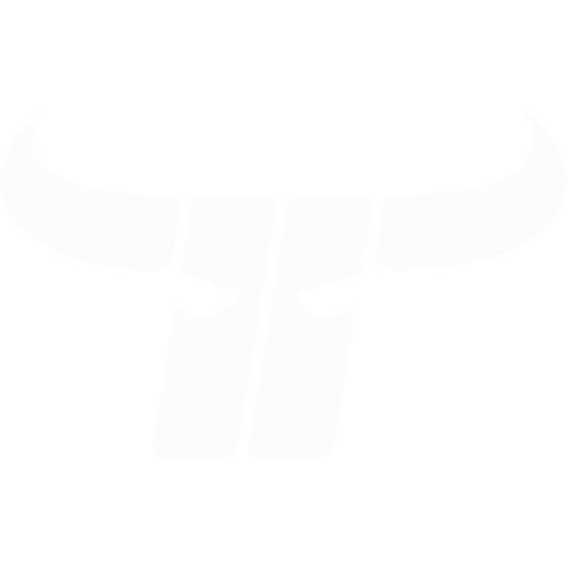 Kapfenberg Bulls artwork 1