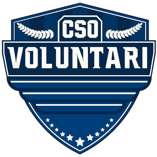 CSO Voluntari artwork 1