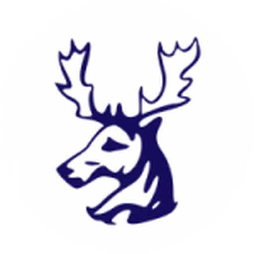 Grange Hockey Club artwork 1