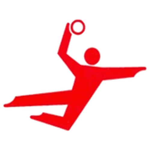 Mexico Handball Women artwork 1