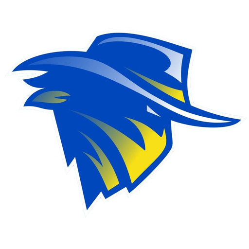 Brisbane Bandits badge