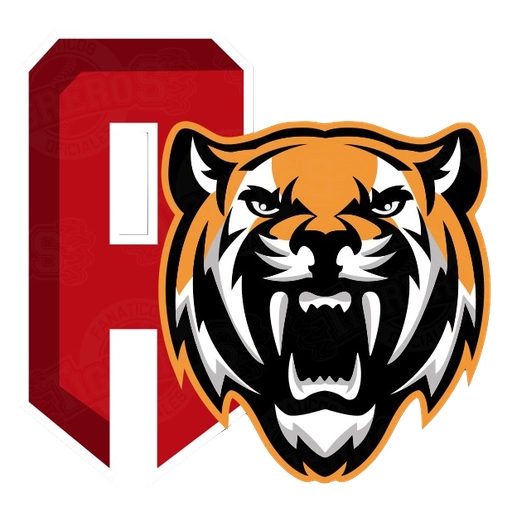 Tigres de Aragua badge