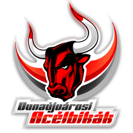 Dunaújvárosi Acélbikák artwork 1