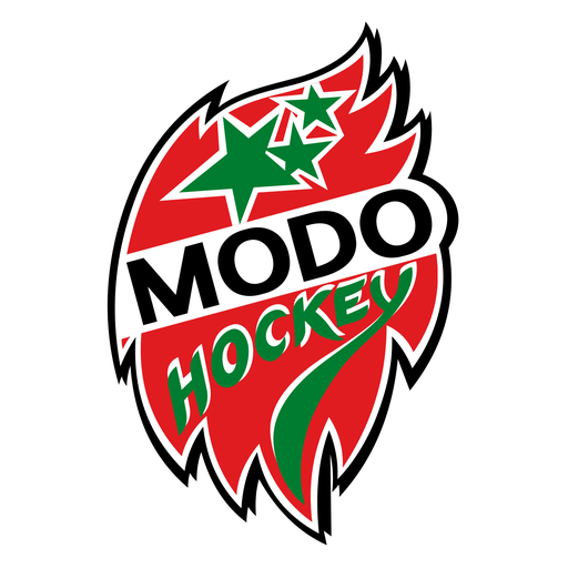 Modo Hockey Women artwork 1