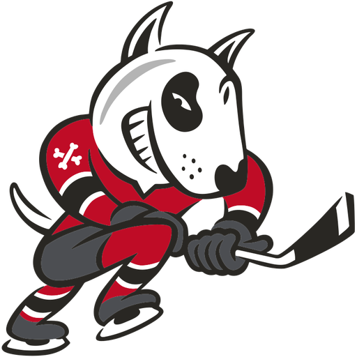 Niagara IceDogs badge