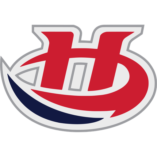 Lethbridge Hurricanes artwork 1
