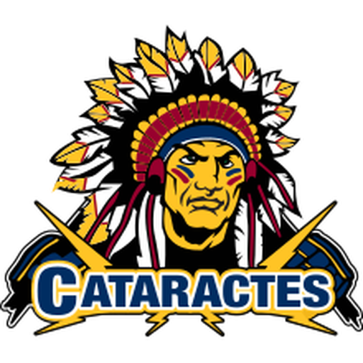 Shawinigan Cataractes artwork 1