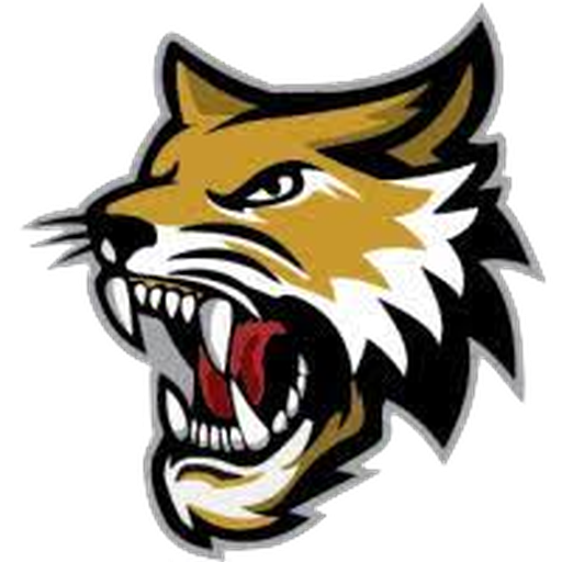 Vermilion County Bobcats artwork 1