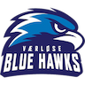 Værløse Blue Hawks