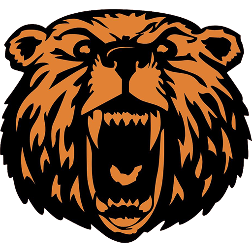 Karhu Basket artwork 1