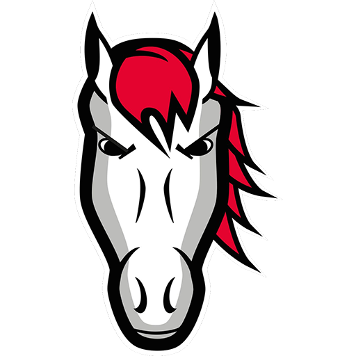 Leicester Riders Women artwork 1