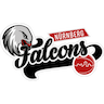 Nürnberg Falcons BC