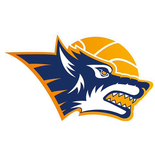 Rostock Seawolves artwork 1