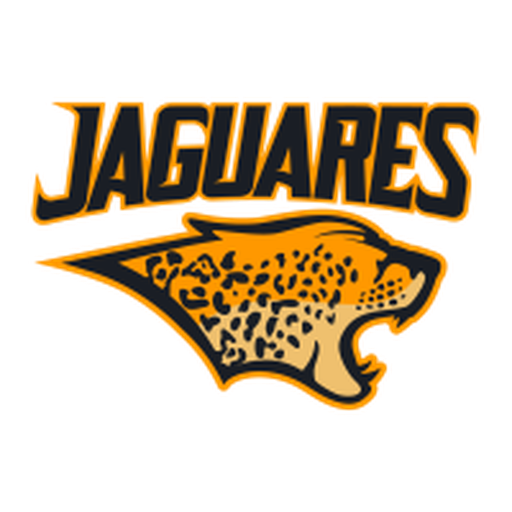 Jaguares XV artwork 1