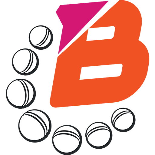 Northern Brave artwork 1