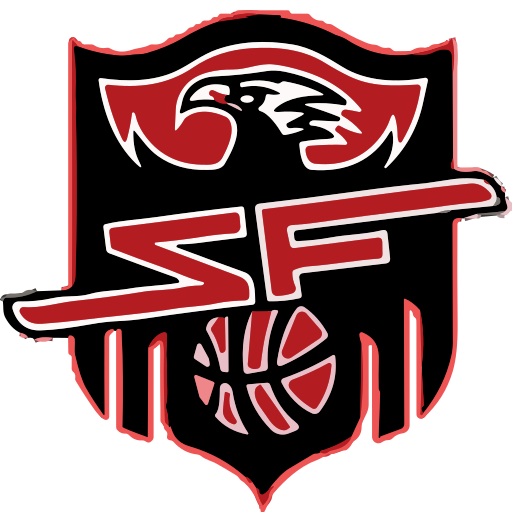 Wuhan Shengfan badge