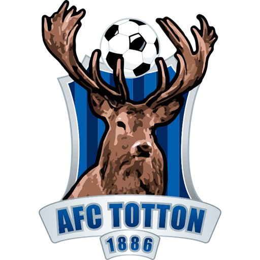 AFC Totton artwork 1